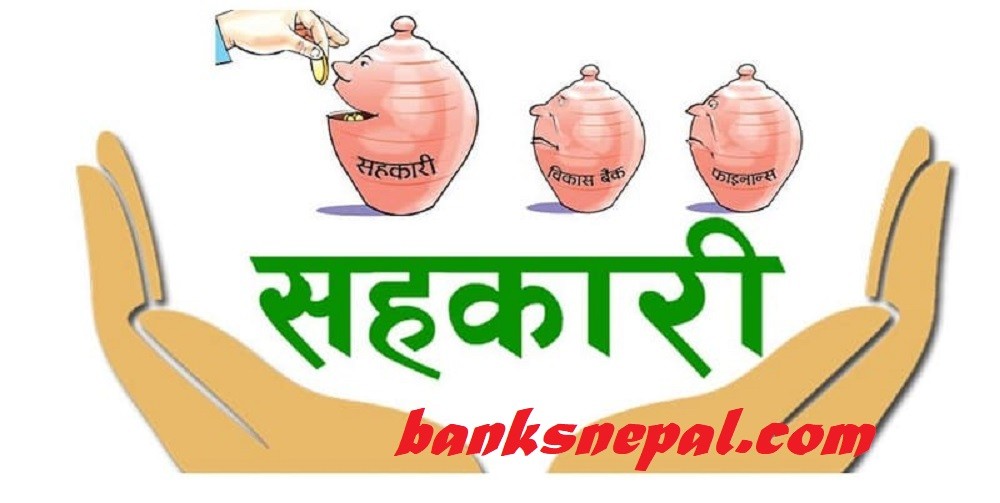 Top 10 Cooperative sin Nepal as per paid of Capital and Net Profit Income